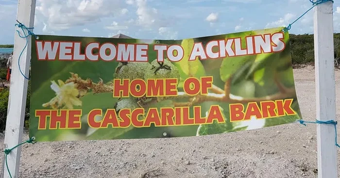 Acklins Cascarilla