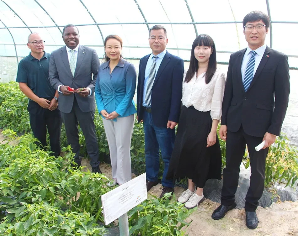 Hunan Farm Hunan Demonstration Farm Officially Handed Over